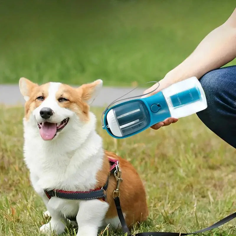 3-in-1 Dog Water Bottle