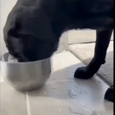 image comparison before