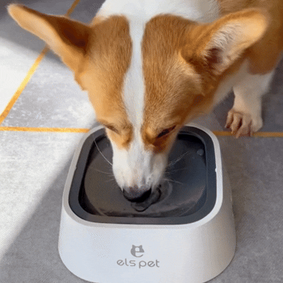 image comparison after